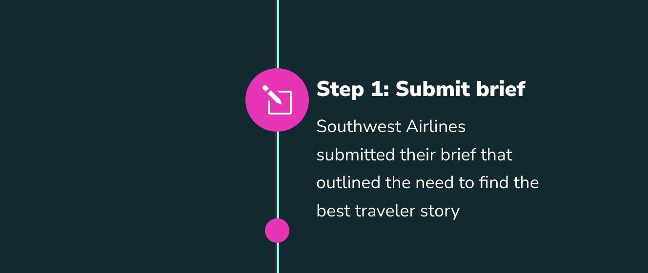 Step 1: Submit Brief for Online Video Contest