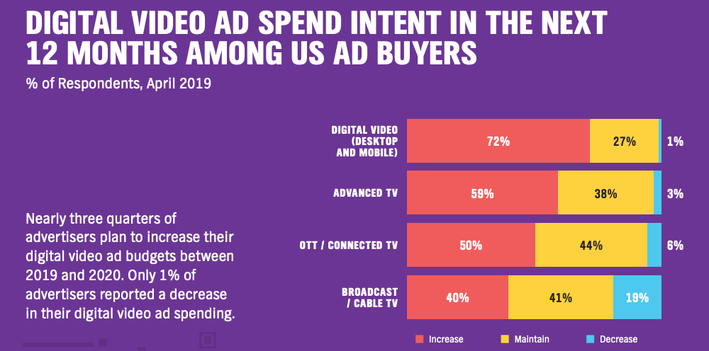 Digital Video Ad Spend - 12 Months