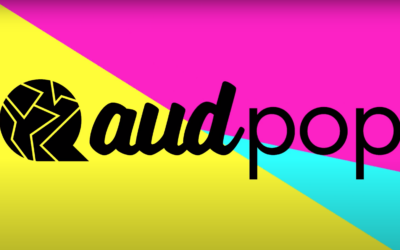 Top 10 Reasons Brands Should Work With AudPop Filmmakers